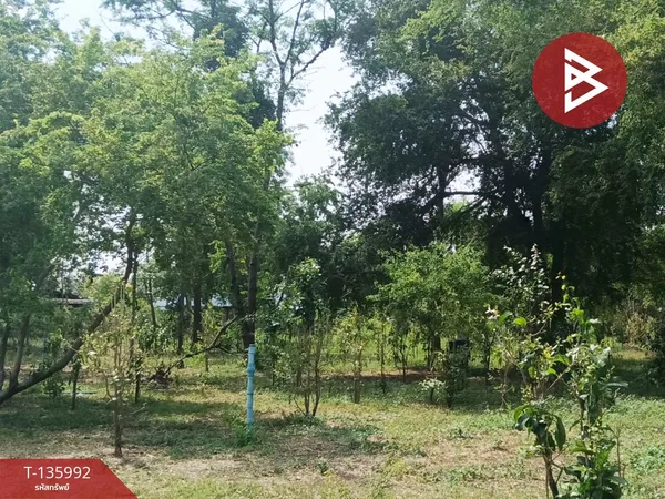 ขายที่ดิน เนื้อที่ 5 ไร่ 25.9 ตร.วา หนองบัว บ้านหมอ สระบุรี