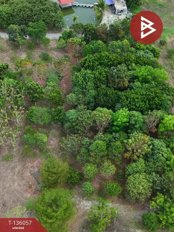 ขายที่ดิน เนื้อที่ 8 ไร่ 62.7 ตร.วา นายายอาม จันทบุรี