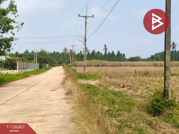 ขายที่ดิน เนื้อที่ 12 ไร่ 3 งาน 74 ตร.วา บ่อทอง ชลบุรี