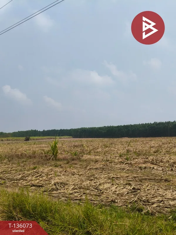 ขายที่ดิน เนื้อที่ 8 ไร่ 2 งาน 82.2 ตร.วา บ่อทอง ชลบุรี