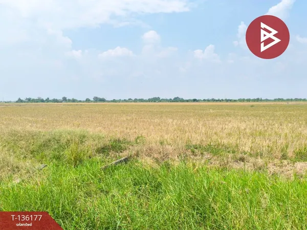 ขายที่ดิน เนื้อที่ 20 ไร่ 1 งาน 89 ตร.วา บางเสาธง สมุทรปราการ