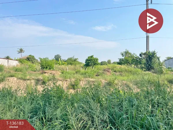 ขายที่ดิน เนื้อที่ 1 งาน 77.4 ตารางวา เกาะจันทร์ ชลบุรี