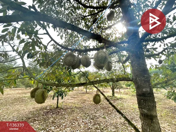 ขายที่ดิน เนื้อที่ 5 ไร่ ท่าใหม่ จันทบุรี