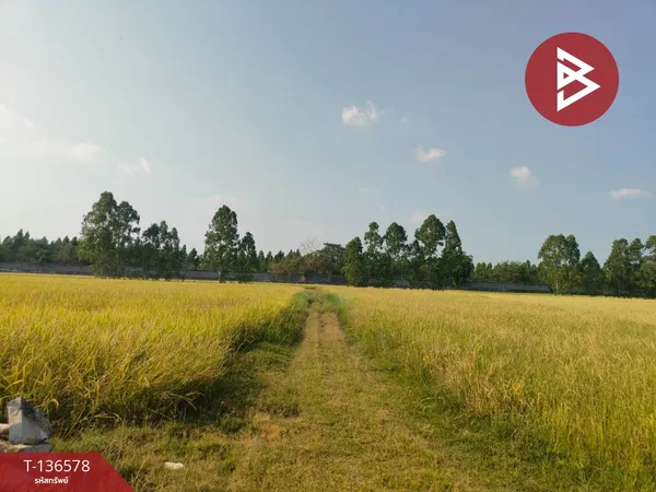 ขายที่ดิน เนื้อที่ 5 ไร่ 1 งาน 83 ตร.วา ลำลูกกา ปทุมธานี พื้นที่ม่วงเข้ม