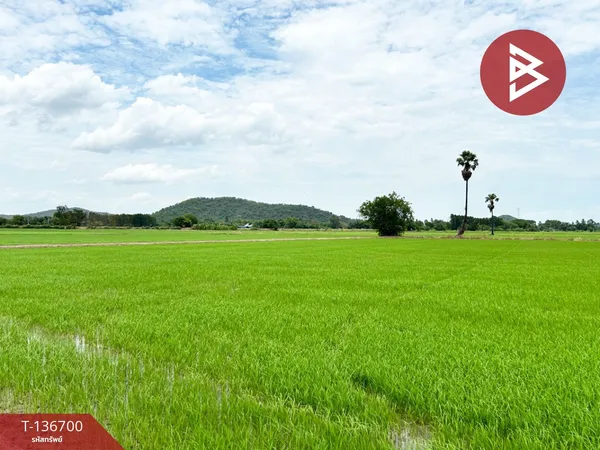 ขายที่นา เนื้อที่ 42 ไร่ 59 ตารางวา เดิมบางนางบวช สุพรรณบุรี