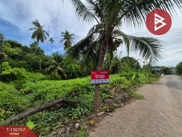 ขายที่ดิน เนื้อที่ 1 งาน 71.6 ตร.วา บ้านปรก สมุทรสงคราม