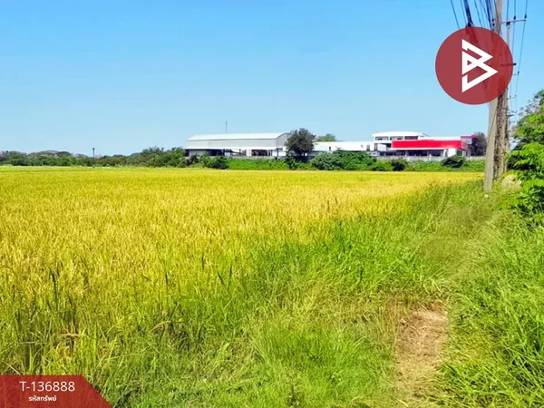 ขายที่ดิน เนื้อที่ 7 ไร่ 1 งาน 22 ตร.วา บางมัญ สิงห์บุรี