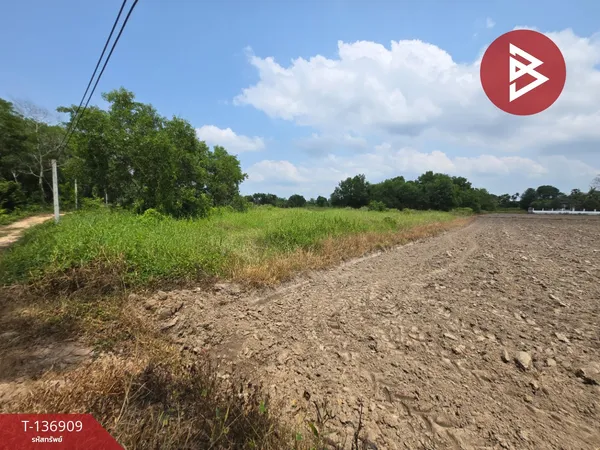 ขายที่ดิน เนื้อที่ 4 ไร่ 13 ตร.วา เกาะขวาง จันทบุรี