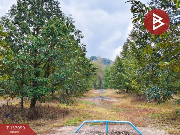 ขายที่ดินพร้อมสวน เนื้อที่ 10 ไร่ 1 งาน 56.9 ตร.วา นายายอาม จันทบุรี