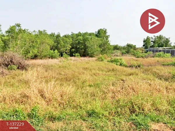 ขายที่ดิน เนื้อที่ 1 ไร่ 1 งาน 87 ตร.วา คลองหลวง ปทุมธานี