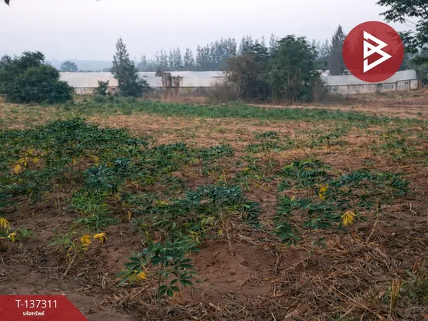 ขายที่ดิน เนื้อที่ 7 ไร่ 2 ตร.วา พัฒนานิคม ลพบุรี ติดโรงงาน เหมาะลงทุน