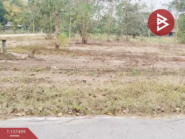 ขายที่ดิน เนื้อที่ 11 ไร่ 3 งาน 24 ตร.วา ท่ายาง เพชรบุรี