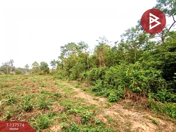 ขายที่ดิน เนื้อที่ 14 ไร่ 2 งาน 14 ตร.วา เชียงเครือ สกลนคร