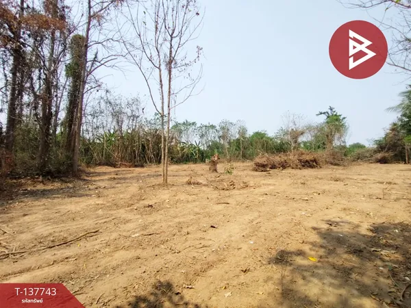 ขายที่ดิน เนื้อที่ 3 งาน 90 ตร.วา บ้านเกาะ อุตรดิตถ์