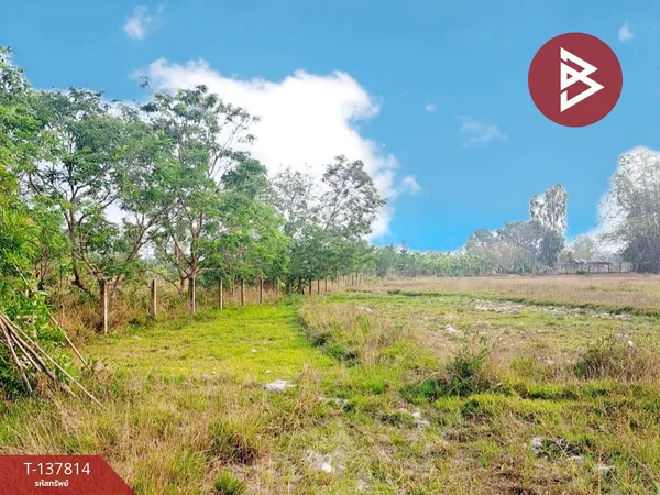 ขายที่ดิน เนื้อที่ 3 ไร่ 3 งาน 77.5 ตร.วา สระใคร หนองคาย