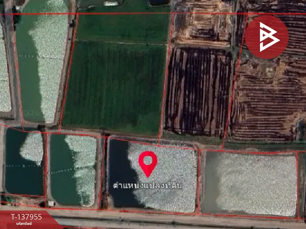 ขายที่ดิน เนื้อที่ 4 ไร่ 40 ตร.วา กำแพงแสน นครปฐม