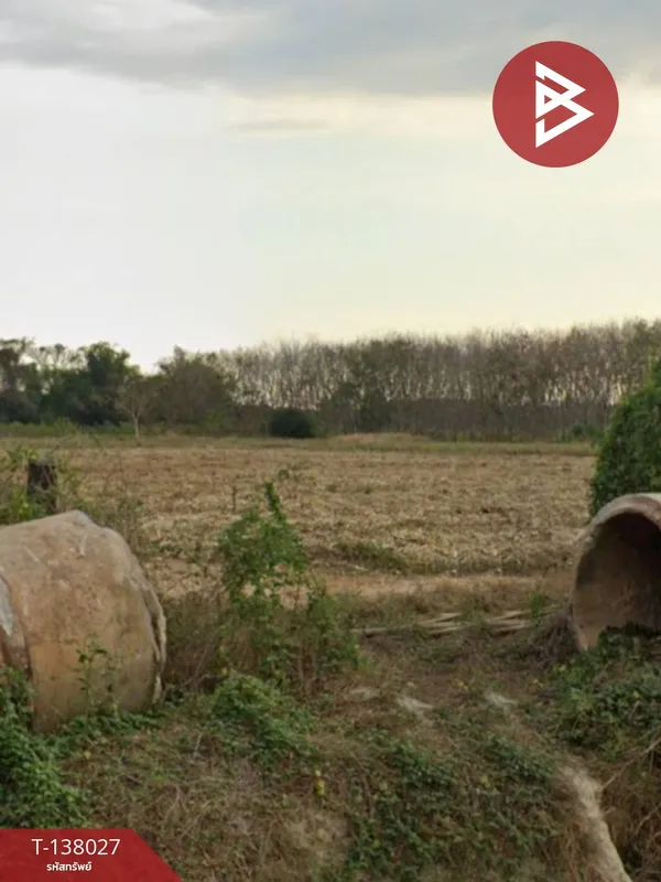 ขายที่ดิน เนื้อที่ 52 ไร่ 1 งาน 16 ตร.วา ปลวกแดง ระยอง