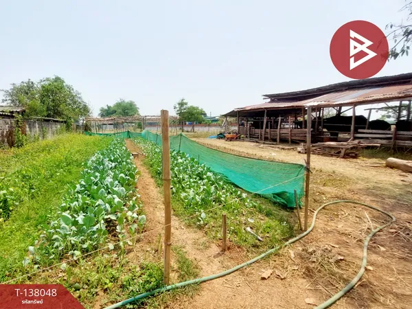 ขายที่ดิน เนื้อที่ 4 ไร่ 3 งาน 11 ตารางวา หาดคำ หนองคาย