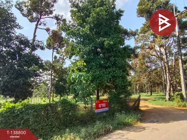 ขายที่ดินพร้อมสวน เนื้อที่ 2 ไร่ 68.6 ตร.วา ท่าใหม่ จันทบุรี