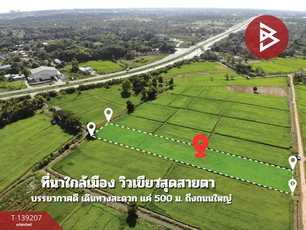 ขายที่ดิน เนื้อที่ 2 ไร่ 2 งาน 23.6 ตร.วา ต.ศิลา ขอนแก่น ทำเลดี วิวทุ่งนา