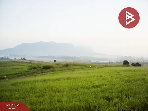 ขายที่ดิน เนื้อที่ 1 งาน 84.4 ตร.วา เขาค้อ เพชรบูรณ์