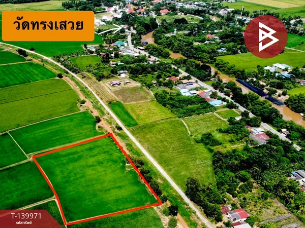 ขายที่ดิน เนื้อที่ 6 ไร่ 2 งาน 41 ตร.วา วัดสิงห์ ชัยนาท