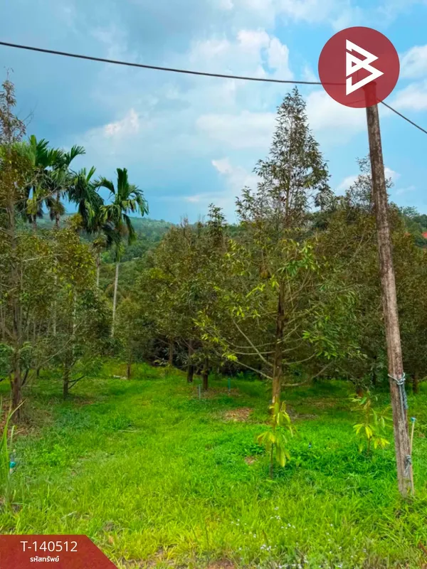 ขายที่ดินพร้อมสวน เนื้อที่ 6 ไร่ ขลุง จันทบุรี