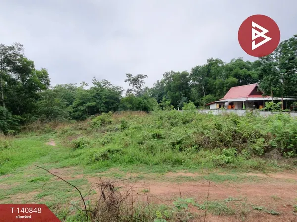 ขายที่ดิน เนื้อที่ 202 ตร.วา โคกสะอาด อุดรธานี