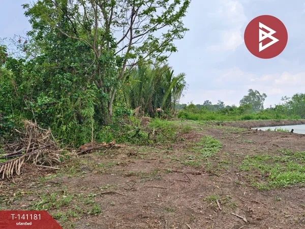 ขายที่ดิน เนื้อที่ 9 ไร่ 3 งาน 81 ตร.วา บ้านใหม่ ฉะเชิงเทรา