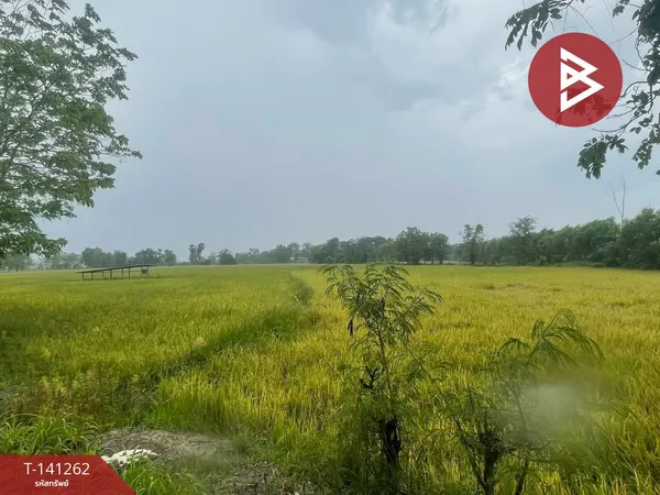 ขายที่ดิน เนื้อที่ 22 ไร่ 7 ตร.วา ขาณุวรลักษบุรี กำแพงเพชร