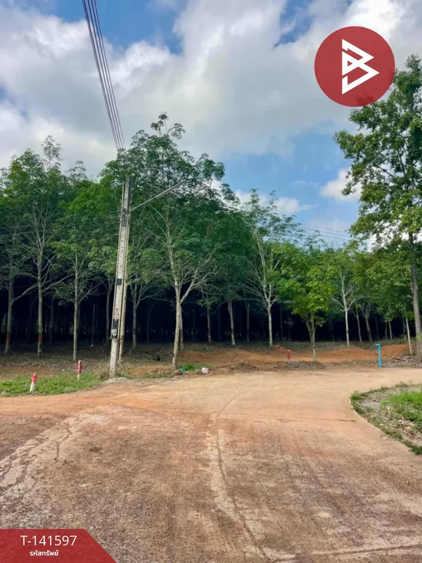 ขายที่ดิน เนื้อที่ 19 ไร่ 3 งาน 76.6 ตร.วา แกลง ระยอง