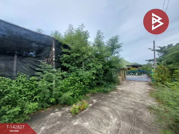 ขายที่ดิน เนื้อที่ 80 ตร.วา บ้านแพ้ว สมุทรสาคร