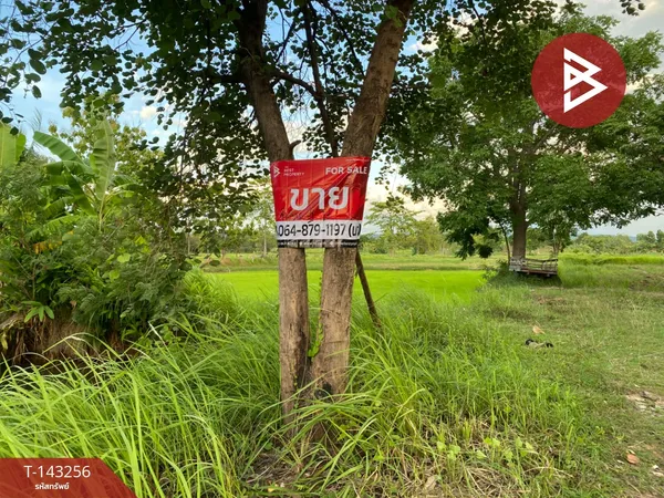 ขายที่ดิน เนื้อที่ 9 ไร่ โนนสัง หนองบัวลำภู