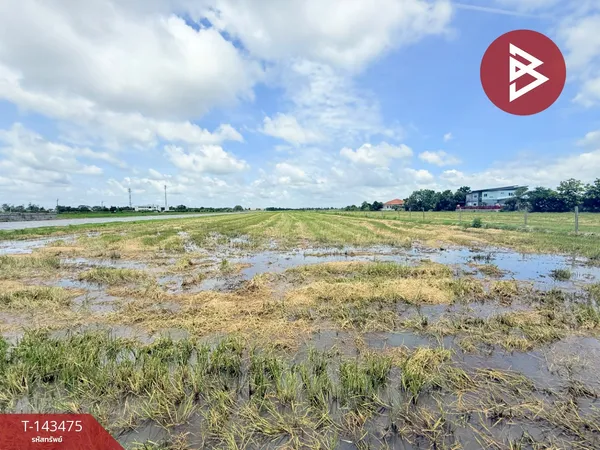 ขายที่ดิน เนื้อที่ 24 ไร่ 5 ตร.วา หนองจอก กรุงเทพมหานคร