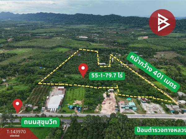 ขายที่ดิน เนื้อที่ 55 ไร่ 1 งาน 79.7 ตร.วา นายายอาม จันทบุรี