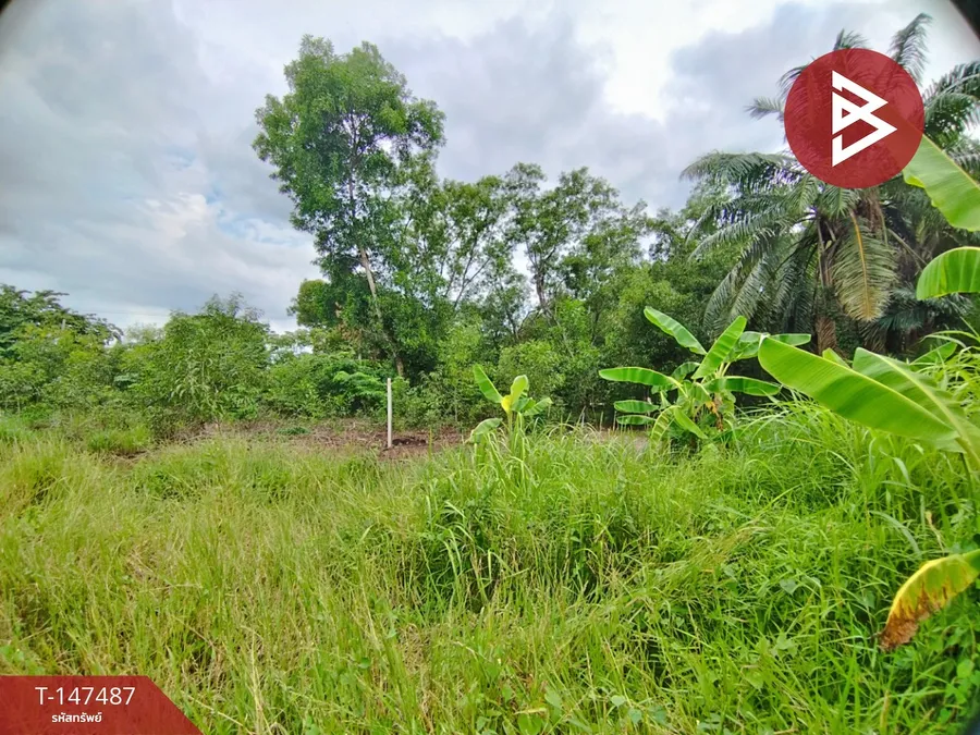 ขายที่ดิน เนื้อที่ 62.5 ตร.วา หนองเสือ ปทุมธานี