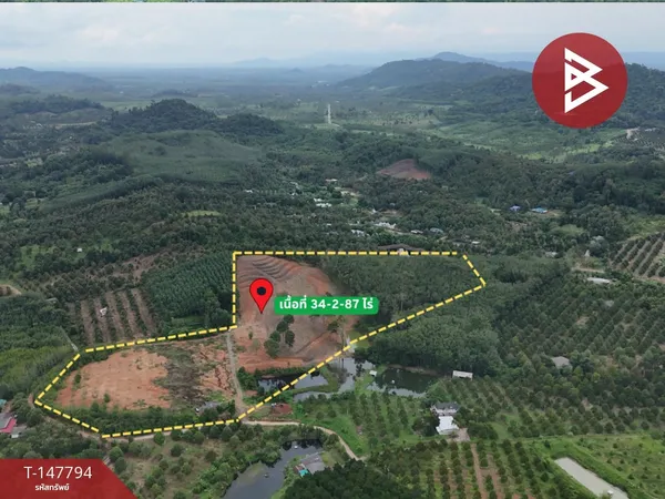 ขายที่ดิน เนื้อที่ 34 ไร่ 2 งาน 87 ตร.วา ท่าใหม่ จันทบุรี