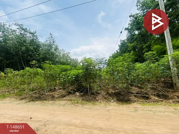ขายที่ดิน เนื้อที่ 4 ไร่ บ้านค่าย ระยอง
