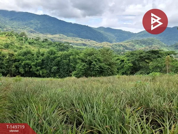 ขายที่ดิน เนื้อที่ 5 ไร่ ท่าสุด เชียงราย